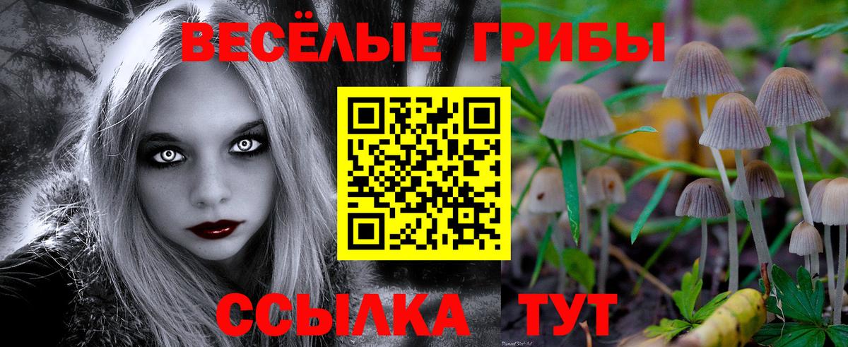 Галлюциногенные грибы прущие грибы  Вход с VPN  Железногорск 
